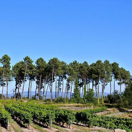 Domaine Des Hauts De *